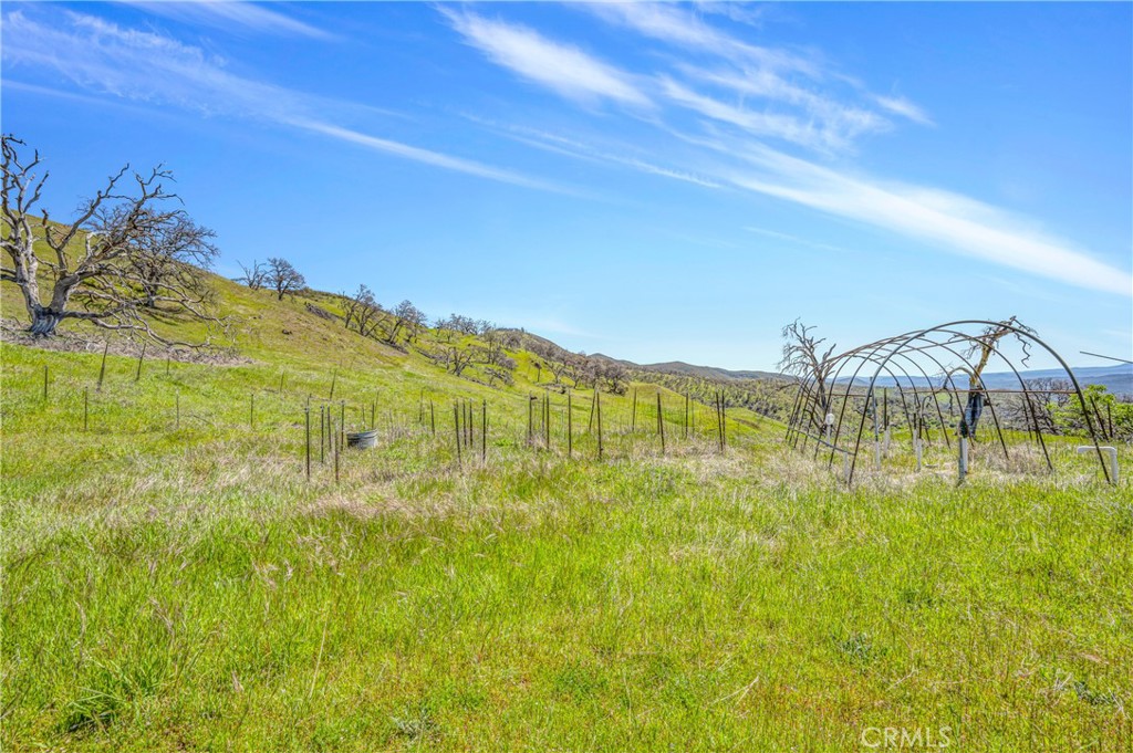 9250 Sky High Ridge Road Property Photo 17