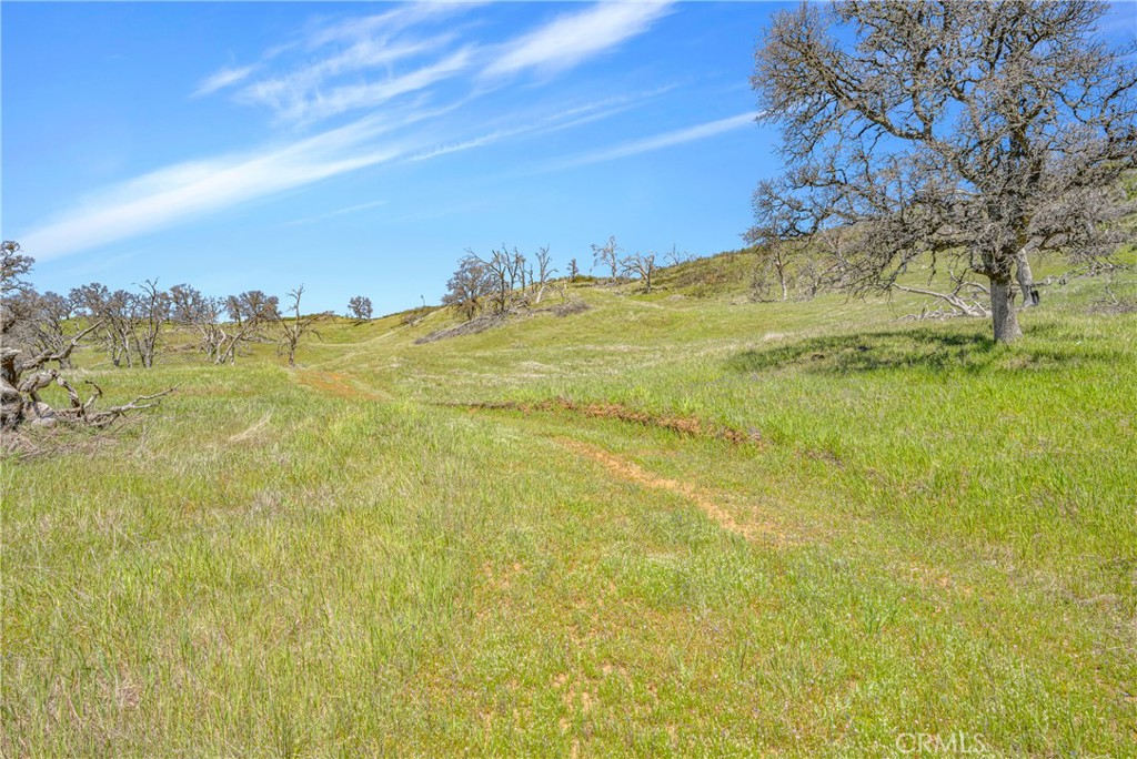 9250 Sky High Ridge Road Property Photo 18