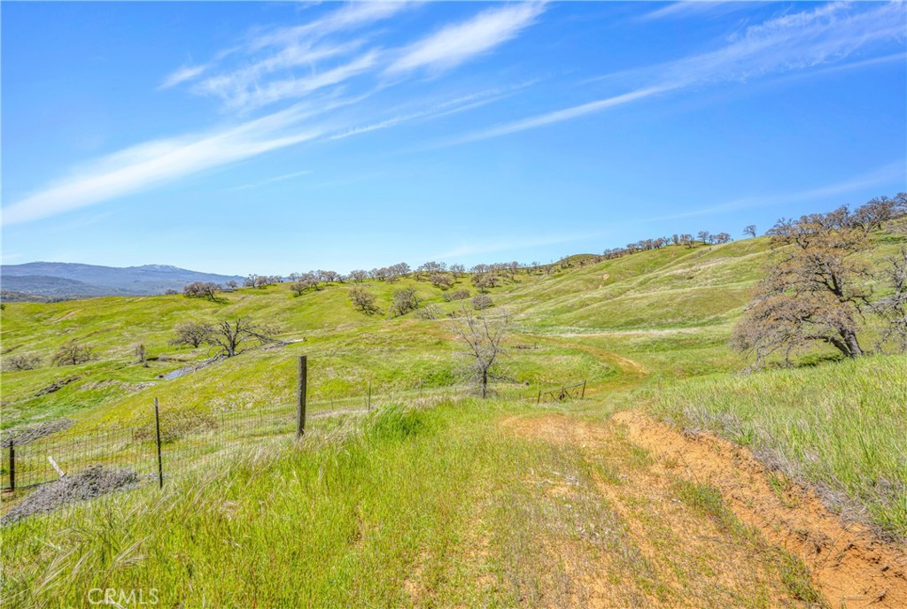 9250 Sky High Ridge Road Property Photo 19