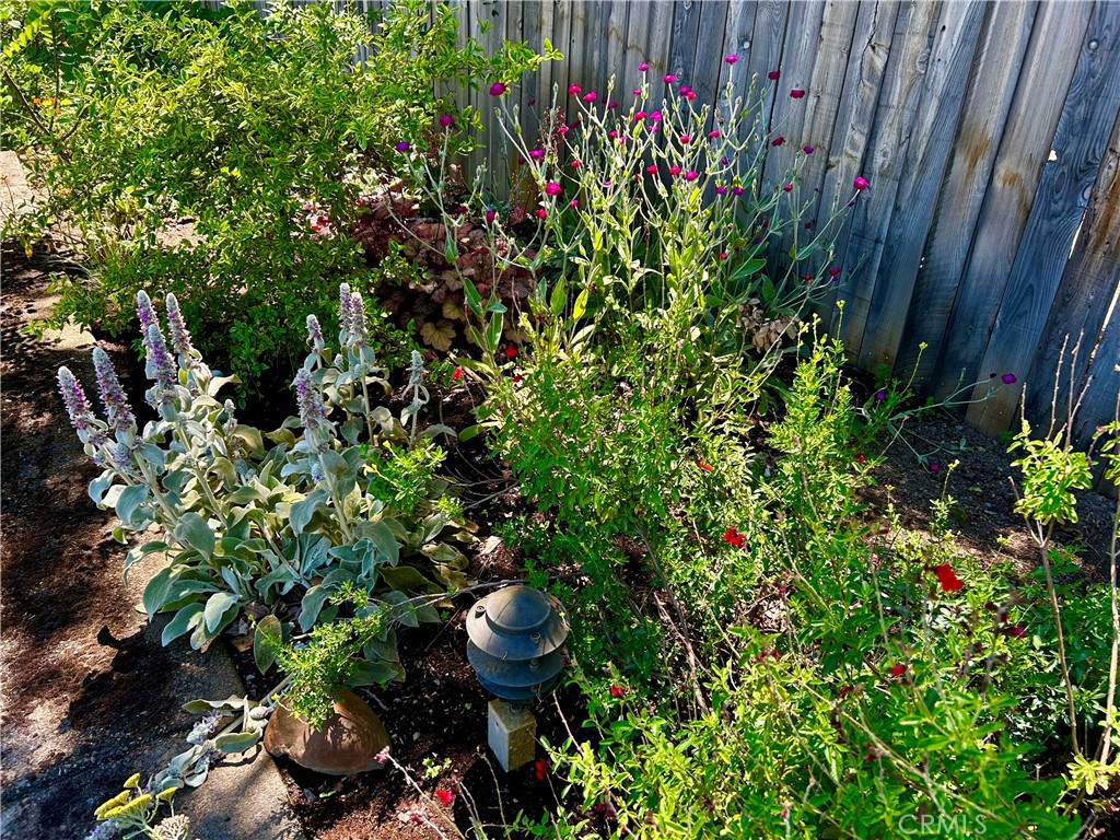 131 Ryan Road Property Photo 55