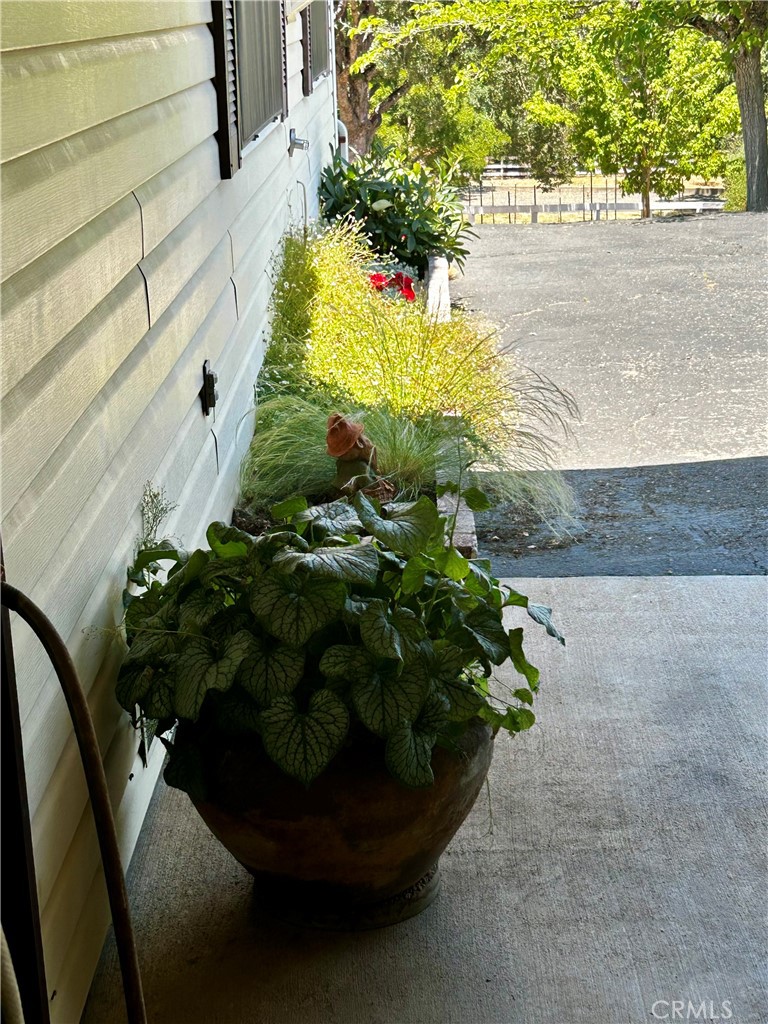 131 Ryan Road Property Photo 57