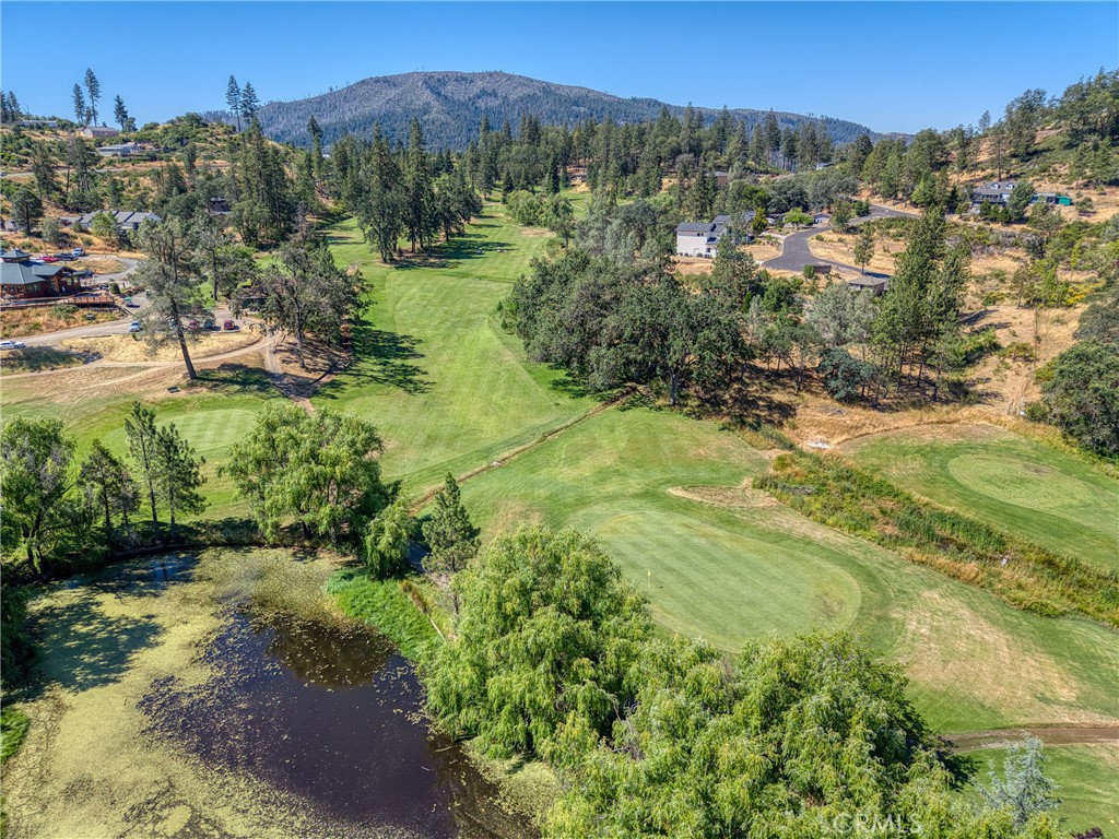 9802 Venturi Property Photo 14