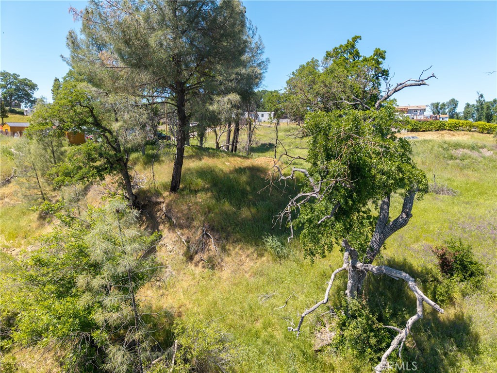 17105 Deer Park Property Photo 4