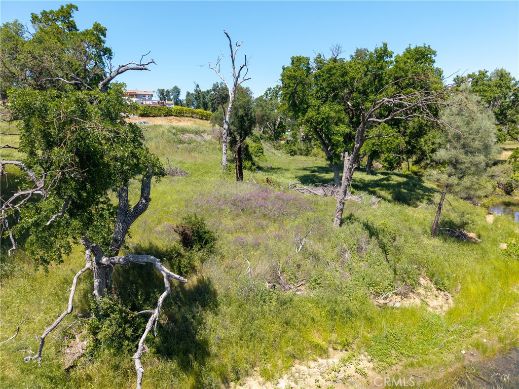 17105 Deer Park Property Photo 5