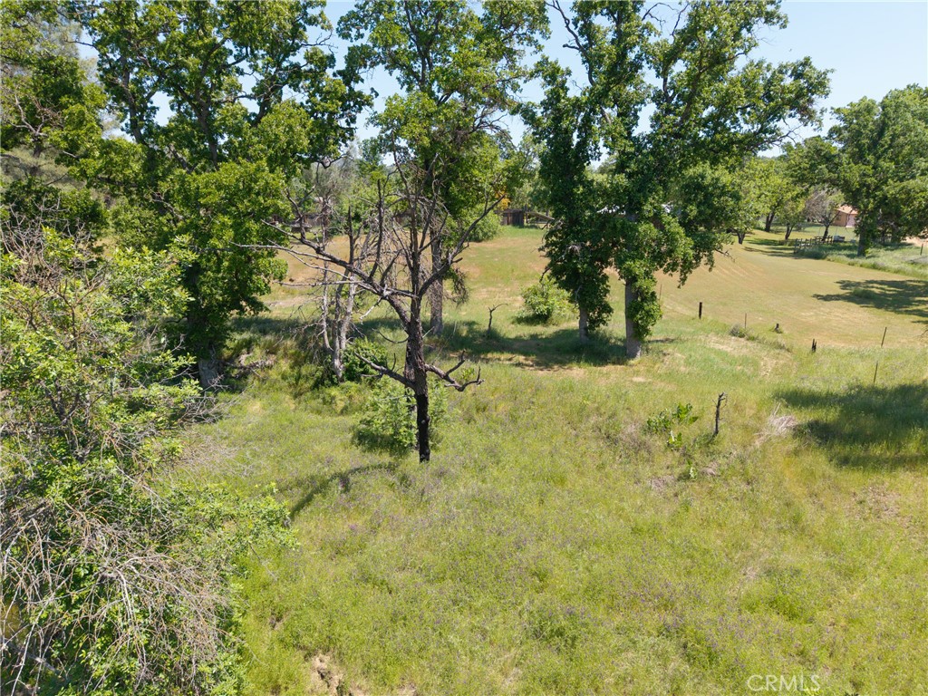 17105 Deer Park Property Photo 6