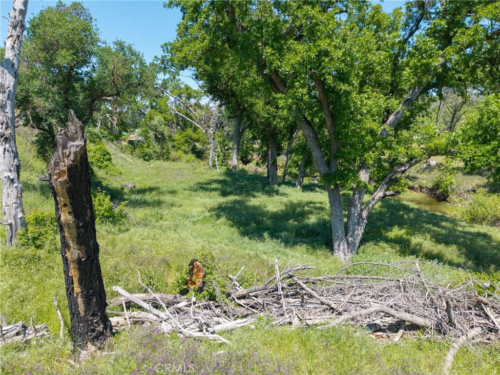 17105 Deer Park Property Photo 11