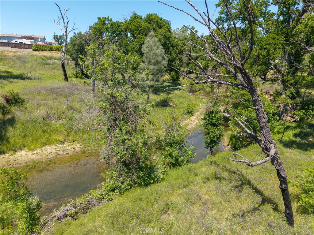 17105 Deer Park Property Photo 14