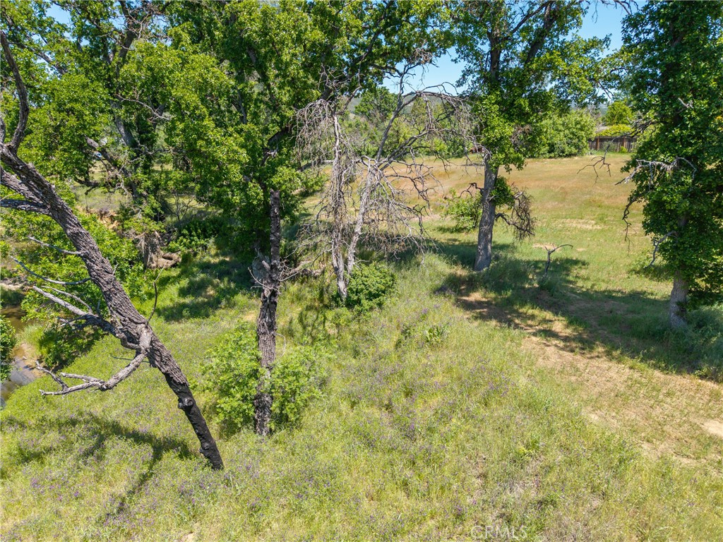 17105 Deer Park Property Photo 15