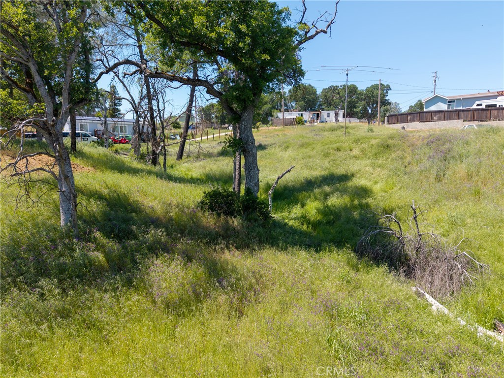 17105 Deer Park Property Photo 17