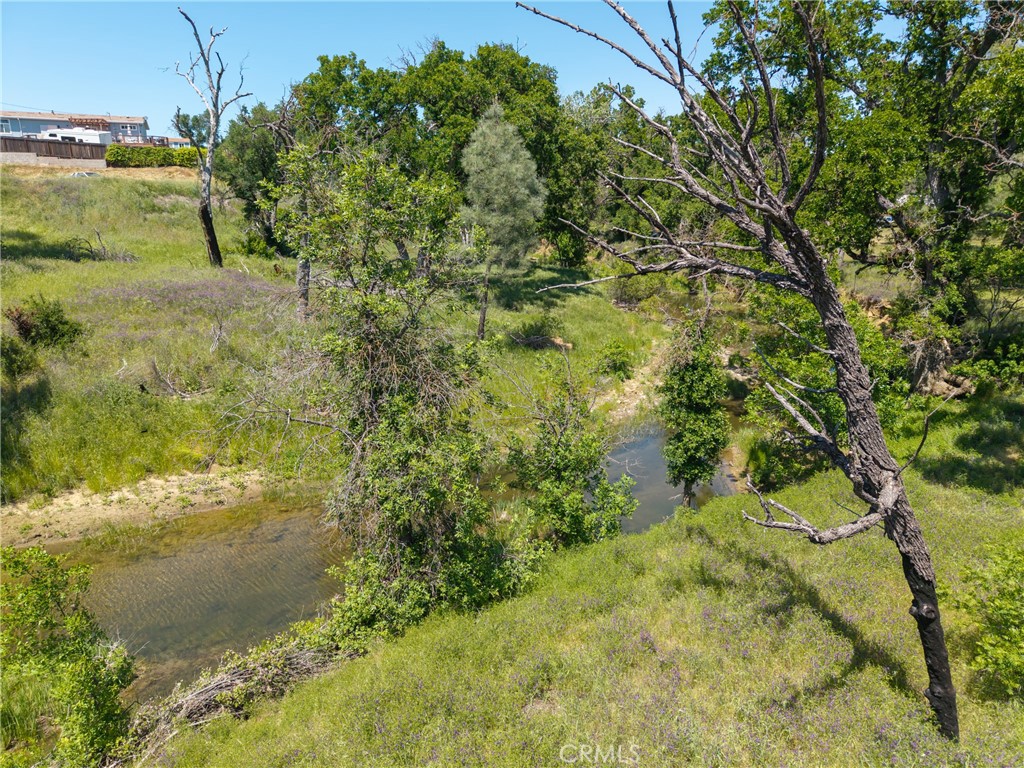 17105 Deer Park Property Photo 23