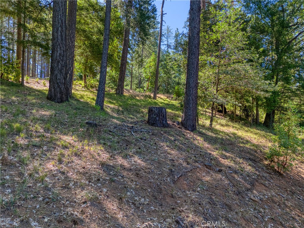 15800 Rainbow Property Photo 52