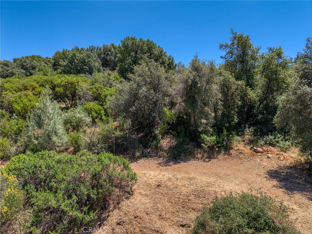 9760 State Highway 281 Property Photo 8