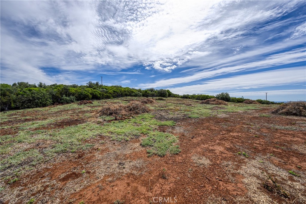 21187 Buckeye Court Property Photo 4