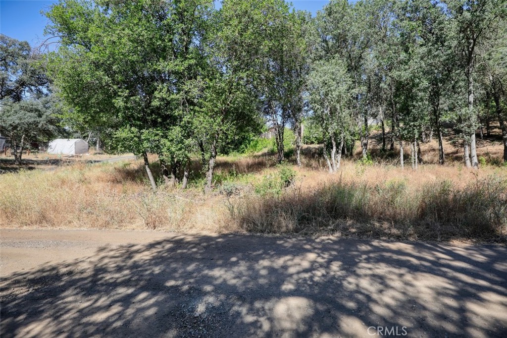 5976 Armijo Property Photo 4