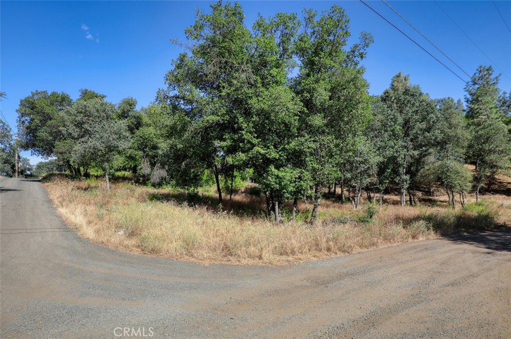 5976 Armijo Property Photo 5