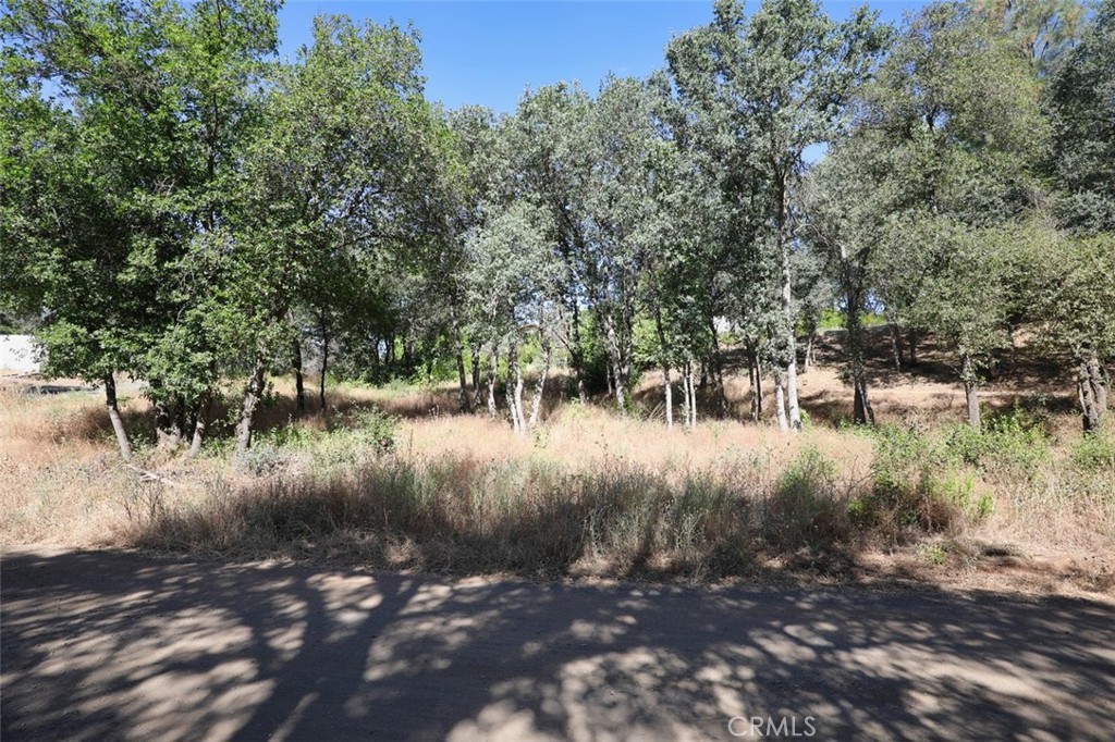 5976 Armijo Property Photo 6