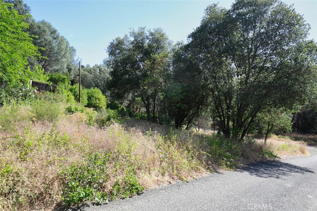 5976 Armijo Property Photo 9