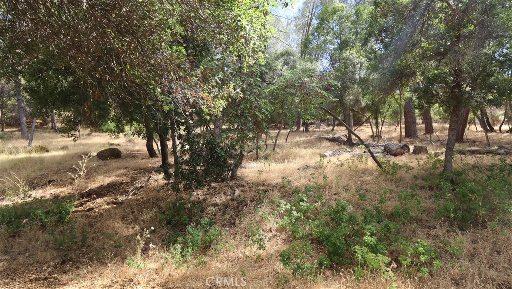 10465 Boren Bega Drive Property Photo 1