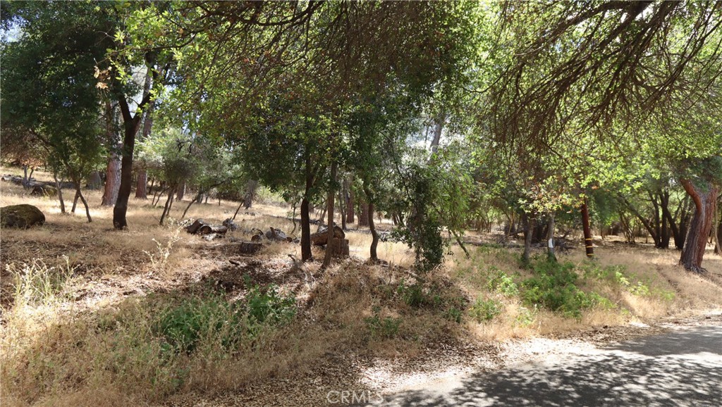 10465 Boren Bega Drive Property Photo 2