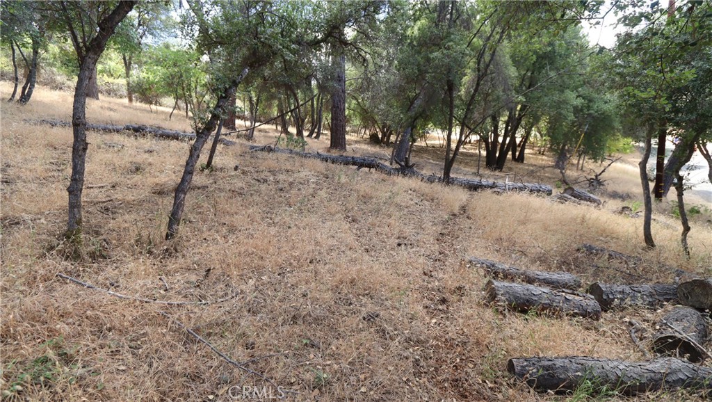10465 Boren Bega Drive Property Photo 6