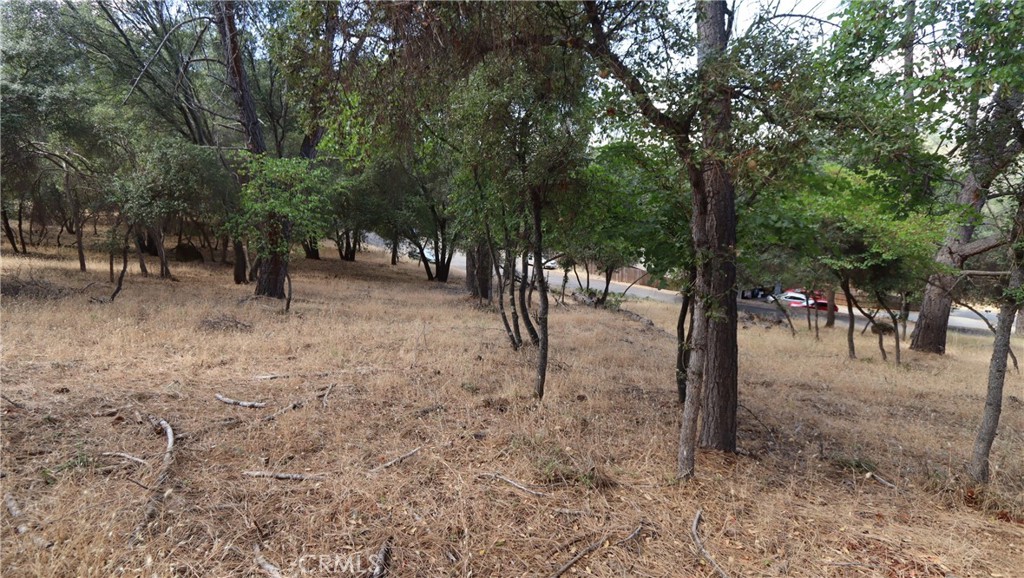 10465 Boren Bega Drive Property Photo 7