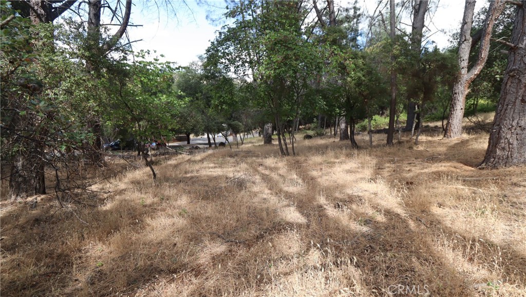 10465 Boren Bega Drive Property Photo 8