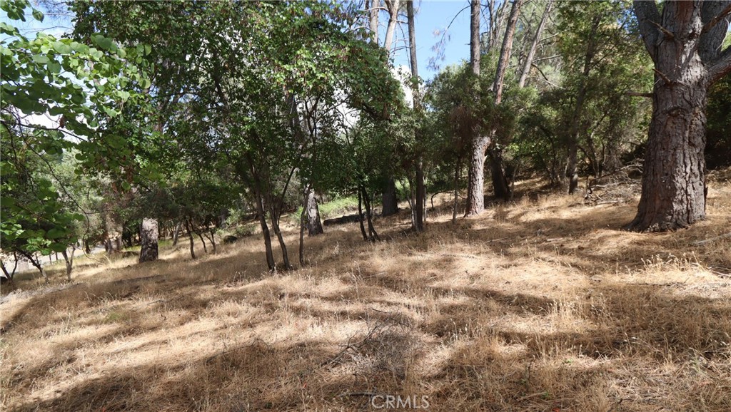 10465 Boren Bega Drive Property Photo 9
