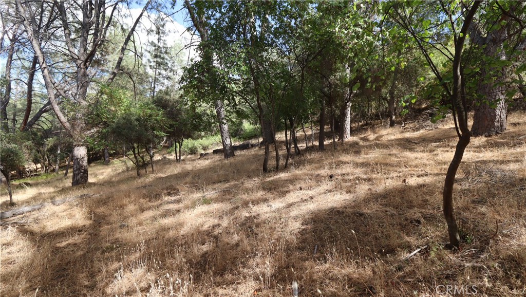 10465 Boren Bega Drive Property Photo 10