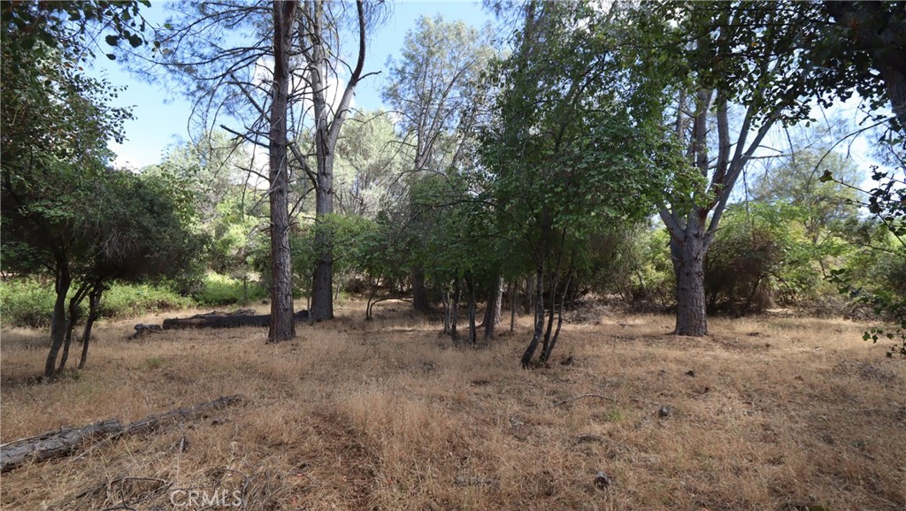 10465 Boren Bega Drive Property Photo 11