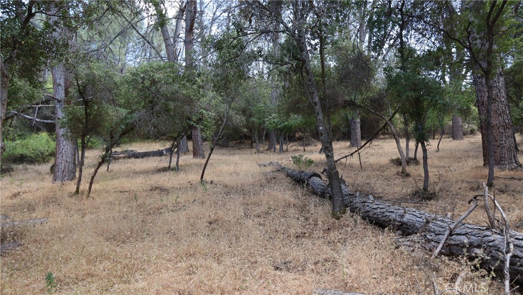 10465 Boren Bega Drive Property Photo 12