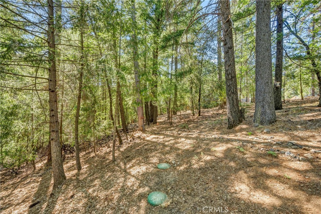 16635 Mountain View Drive Property Photo 26