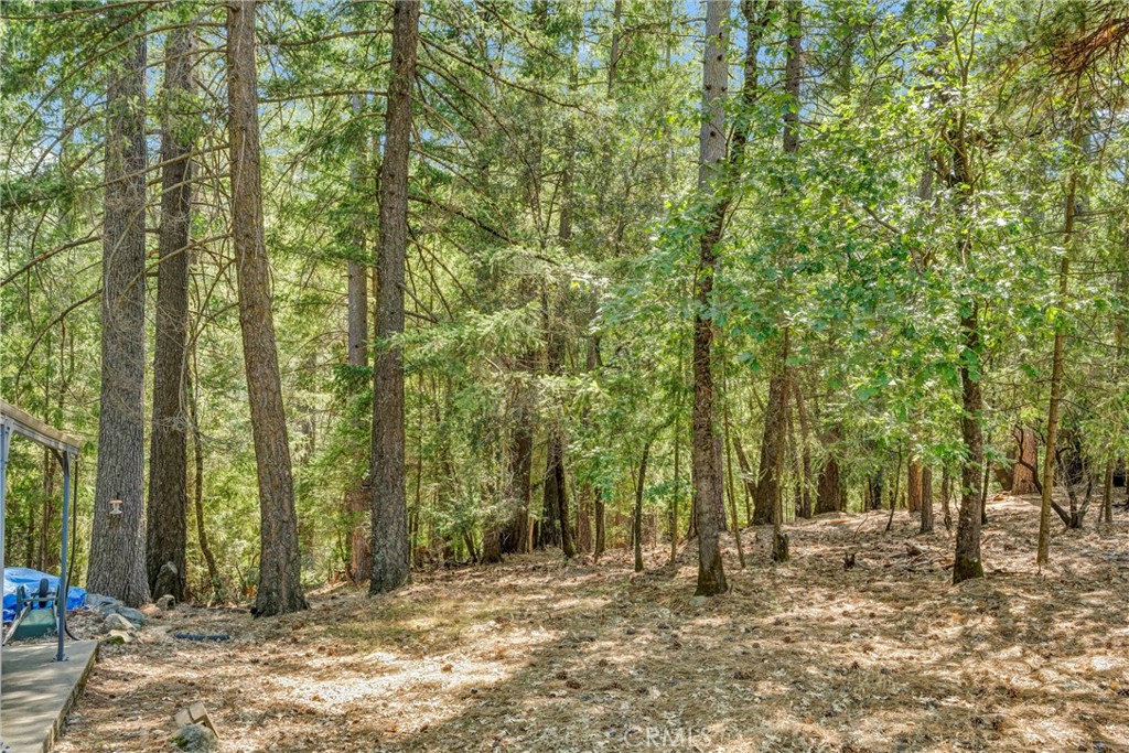 16635 Mountain View Drive Property Photo 27