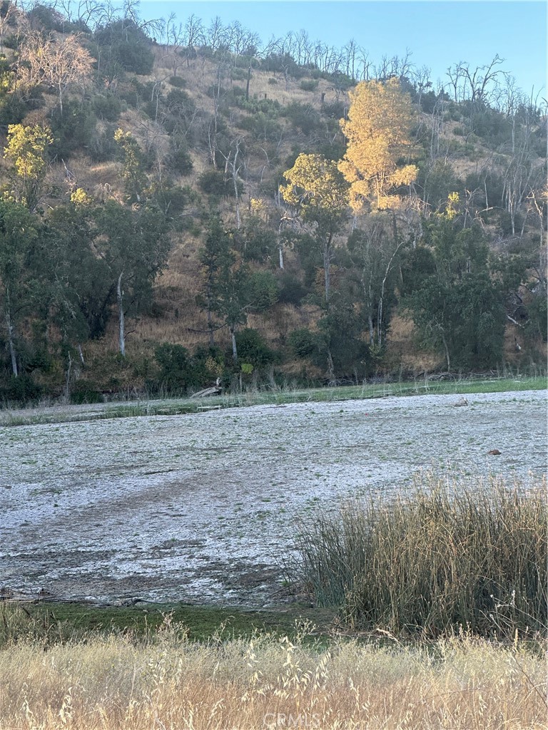 17012 Dam Property Photo 4