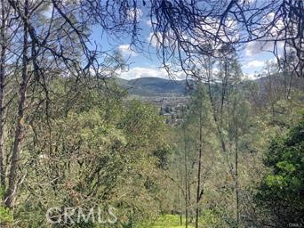 12225 Mount View Drive Property Photo 1
