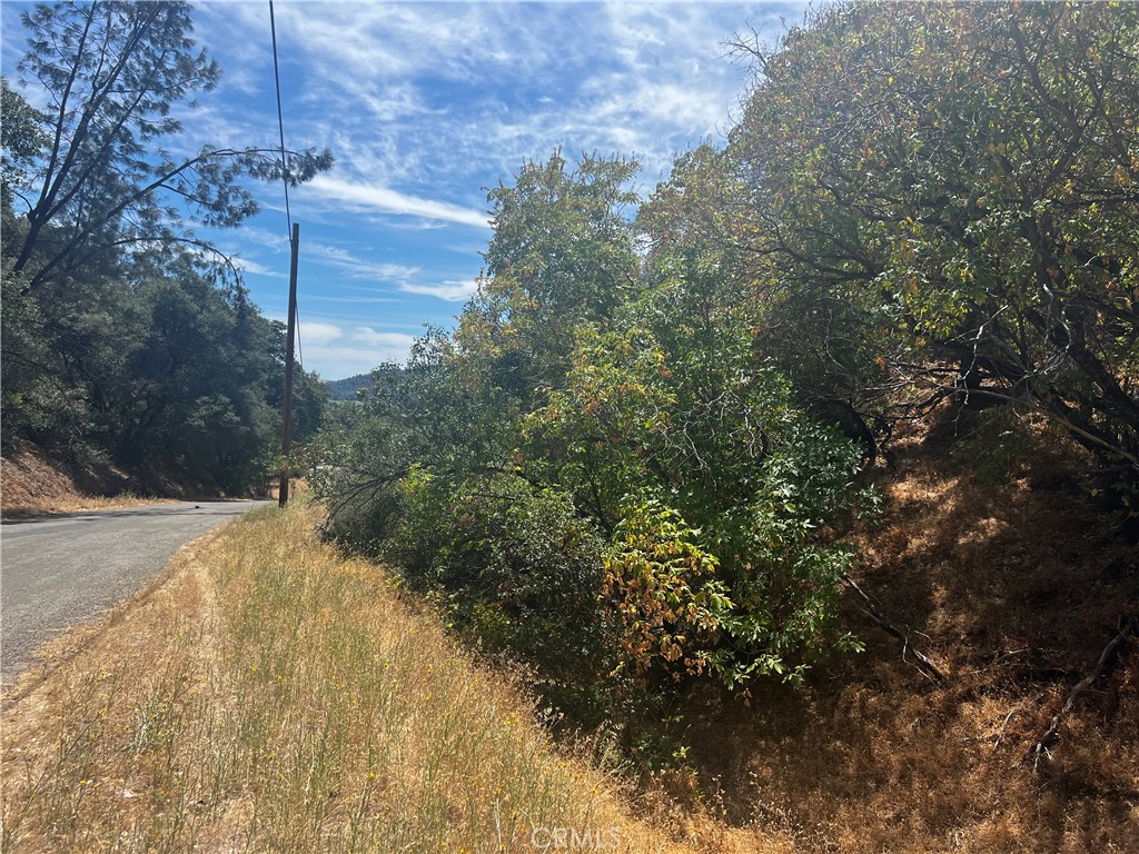 12225 Mount View Drive Property Photo 4