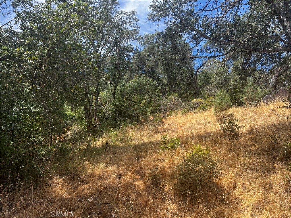 12225 Mount View Drive Property Photo 6