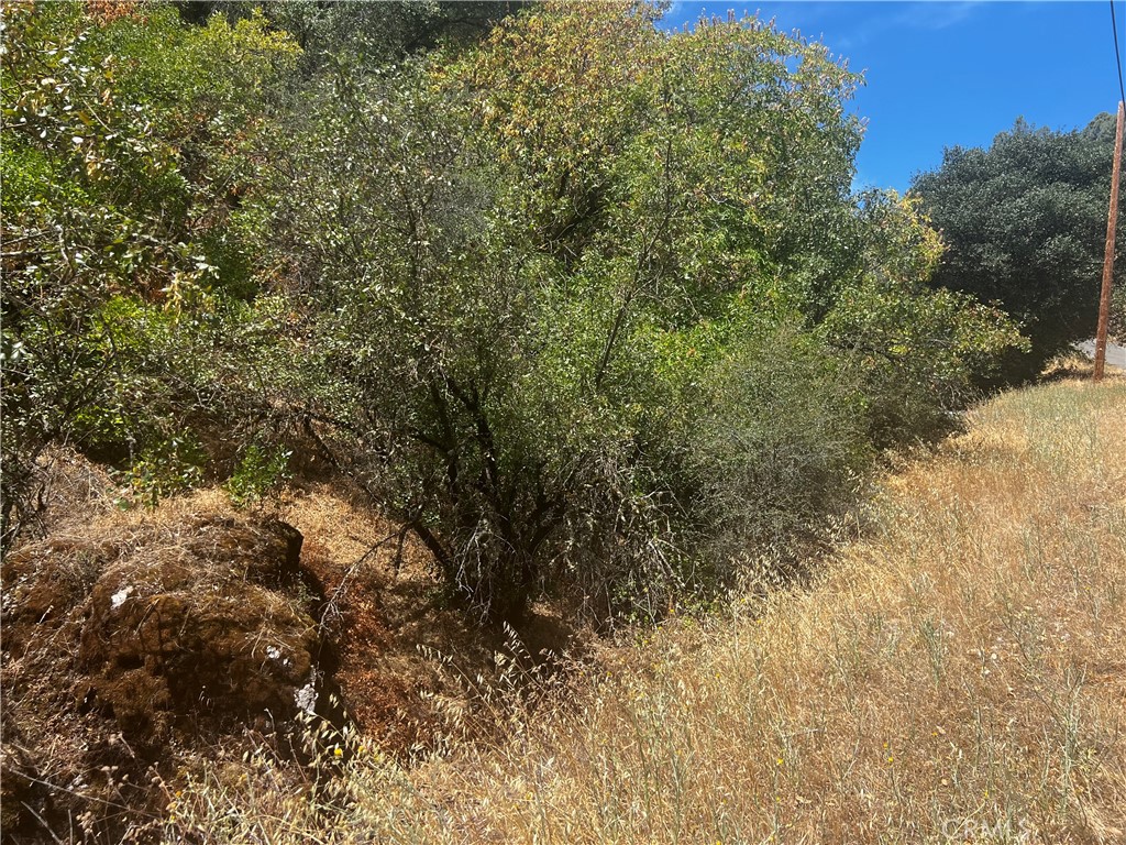12225 Mount View Drive Property Photo 10