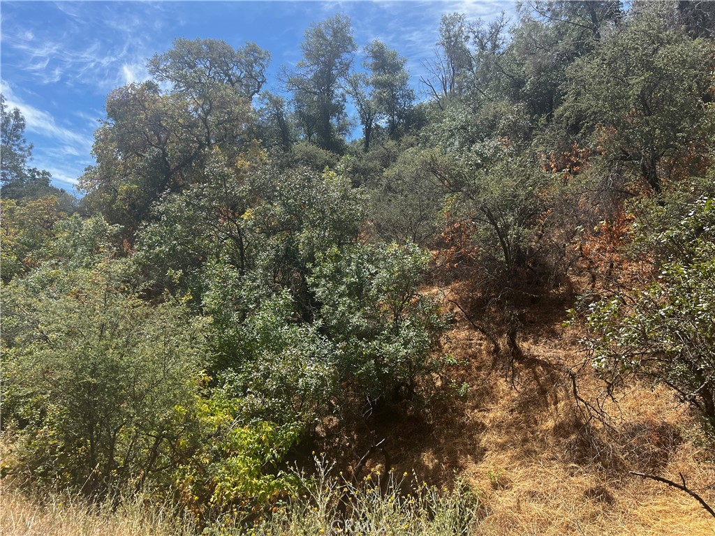 12225 Mount View Drive Property Photo 11
