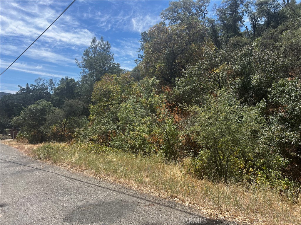 12225 Mount View Drive Property Photo 12