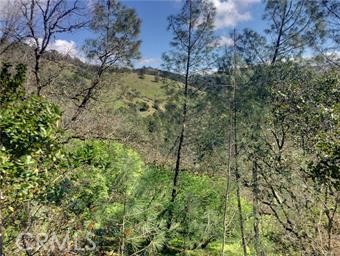 12225 Mount View Drive Property Photo 15