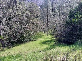 12225 Mount View Drive Property Photo 16