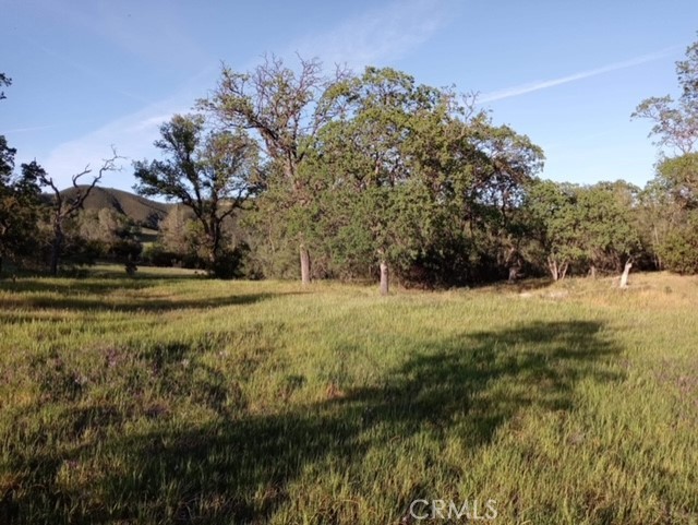 552 Watertrough Property Photo 23
