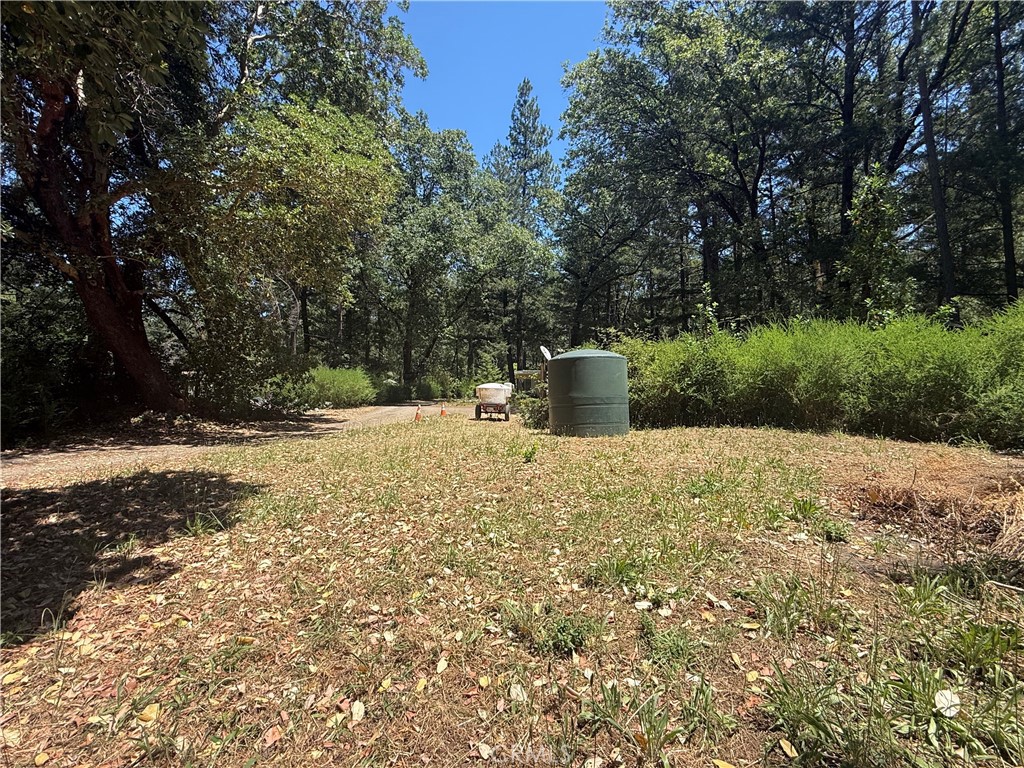 22830 Shady Grove Road Property Photo 13