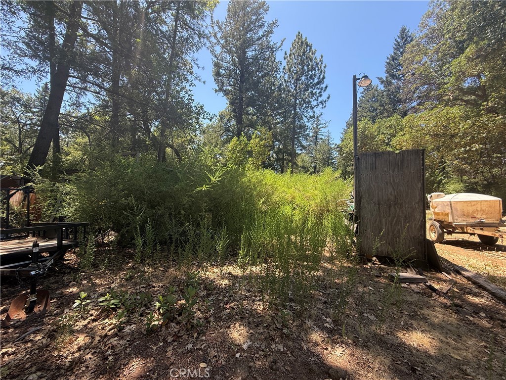 22830 Shady Grove Road Property Photo 14