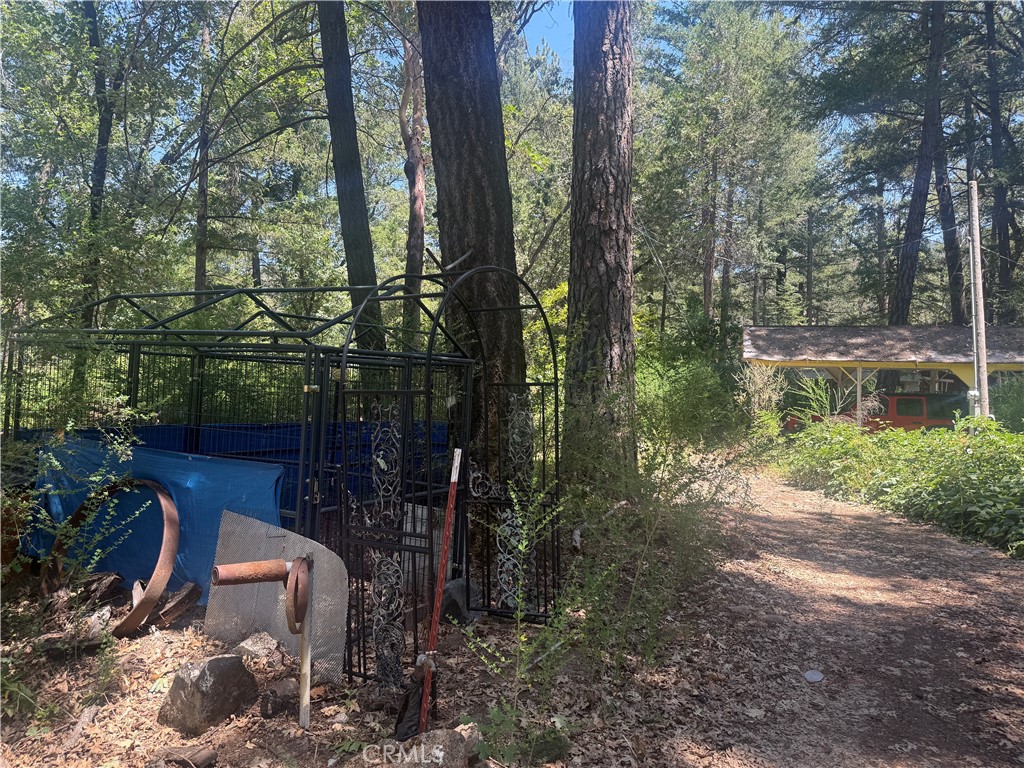 22830 Shady Grove Road Property Photo 15