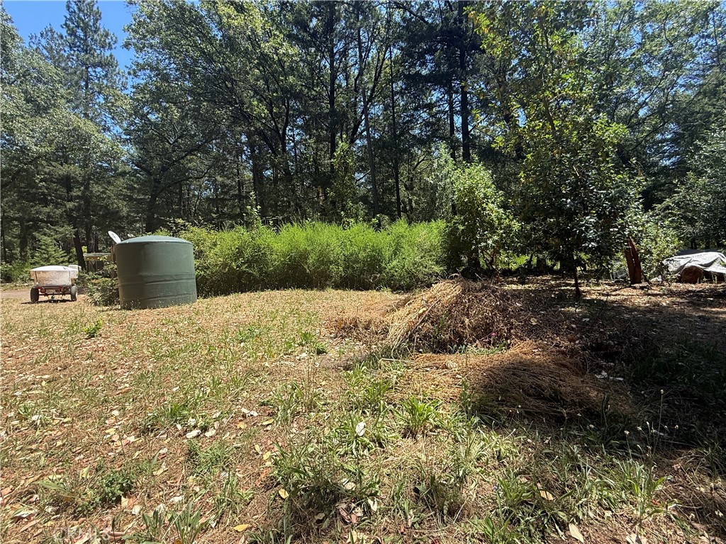 22830 Shady Grove Road Property Photo 17