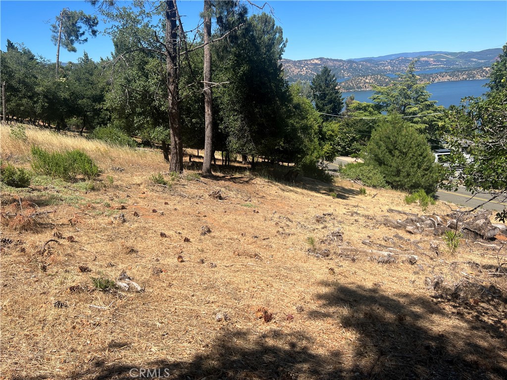 8291 N Heights Property Photo 4