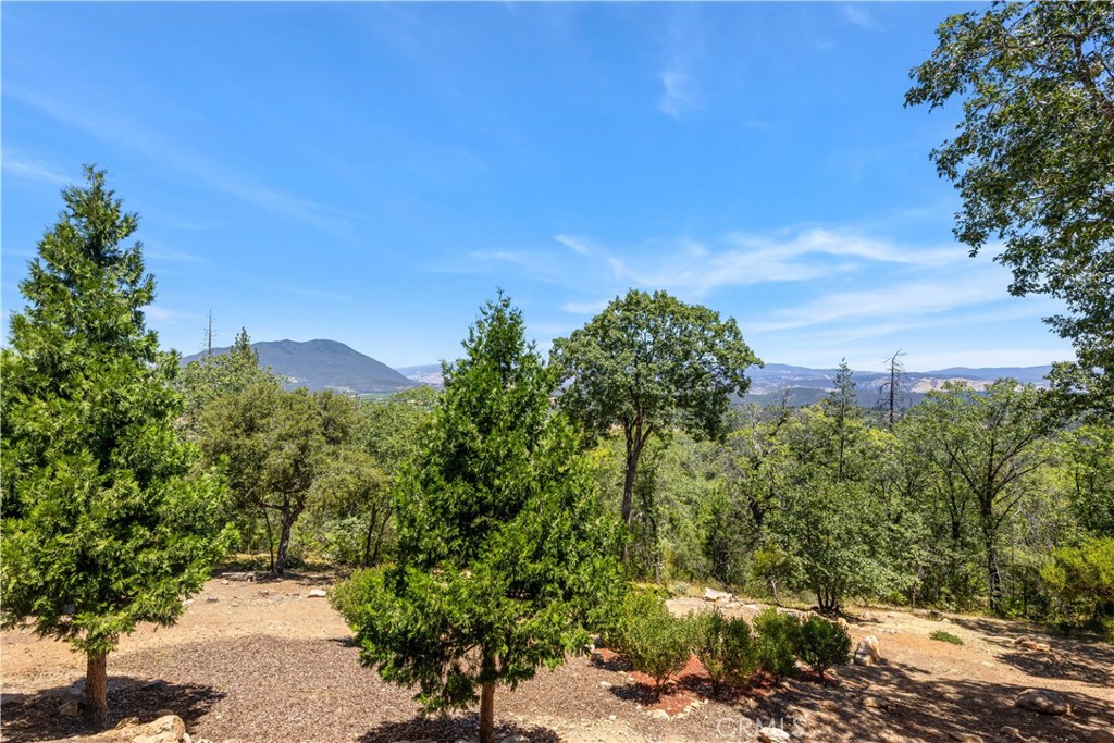 10550 Seigler Springs North Road Property Photo 23