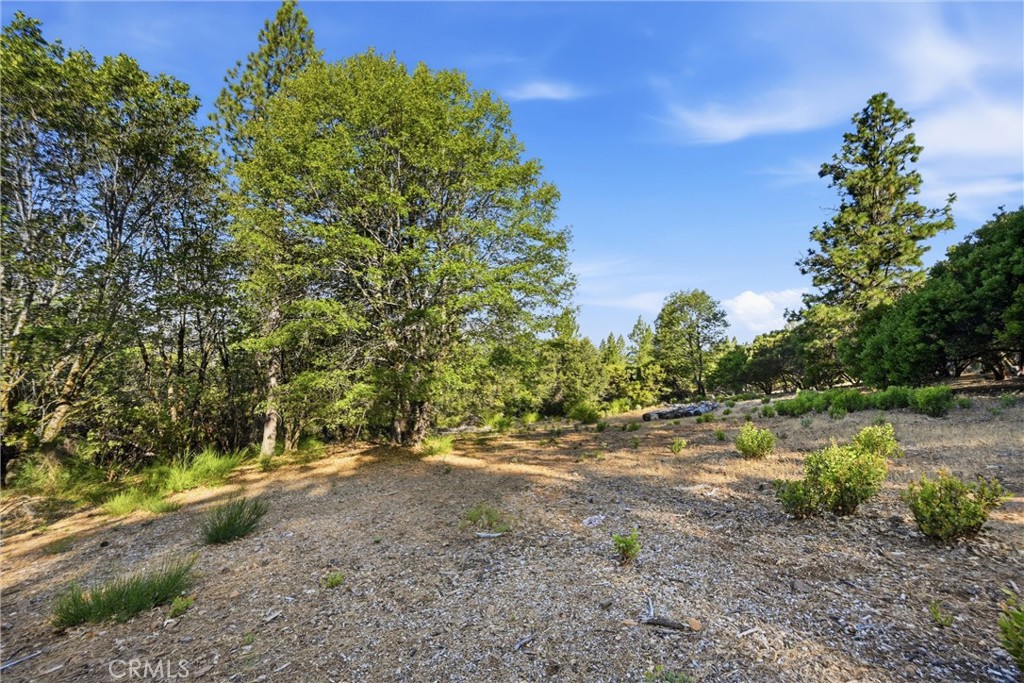 9003 Fox Drive Property Photo 1