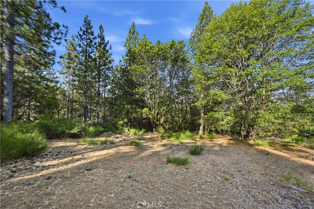 9003 Fox Drive Property Photo 3